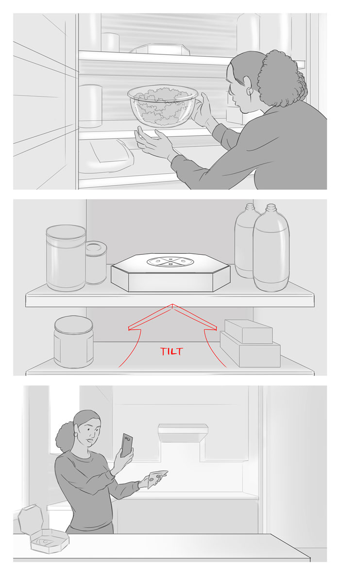 _MFP_KALE